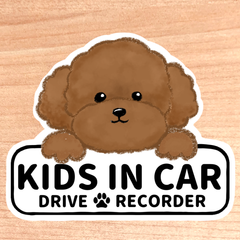 キッズインカー.ベビーインカー.チャイルドインカー(ドライブレコーダー有り)【トイプードル.ボード】マグネットタイプ/シールタイプ/吸盤タイプ/