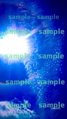 2025年最新】虹龍神の人気アイテム - メルカリ