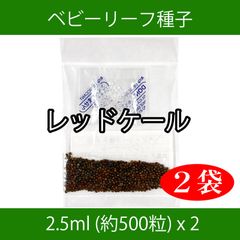 ベビーリーフ種子 B-35 レッドケール 2.5ml 約500粒 x 2袋