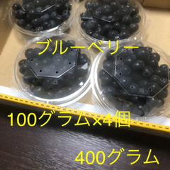 ブルーベリー　　400グラム