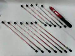 最終値下げ！！希少穂先！！ 11ワカサギマチック SH04 2本セット