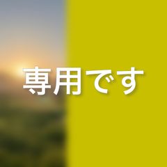 【願いが叶う】【健康長寿】九谷焼 幸運のカバの置物 赤色 健康長寿 願いが叶う健康長寿九谷焼 幸運のカバの置物 赤色 健康長寿