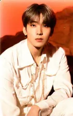 SEVENTEEN 2022 WORLD TOUR 'BE THE SUN' WONWOO トレーディングカード 18/82