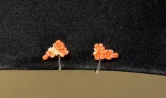 SN638 珊瑚 サンゴイヤリング silver刻印 シルバー フラワー 花 梅 桜 ピンク 本珊瑚？ アンティーク