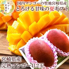 マンゴー 贈り物 内祝い 出産内祝い お祝い 謝礼 お礼 お見舞い 快気祝い お供え ご霊前 手土産ギフト ゴルフコンペ景品 ご結婚お祝い 結婚内祝い 寿 [宮崎完熟マンゴー4L2玉A] 冷蔵便 クール便