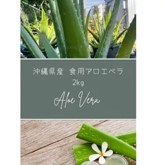 2025年最新】アロエベラ 食用の人気アイテム - メルカリ