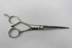 2025年最新】サクシード シザーの人気アイテム - メルカリ