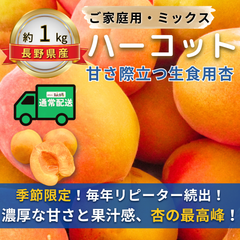 ハーコット～甘さ際立つ生食用杏～【内容量】約1kg【配送方法】通常配送【サイズ】当店お任せ【品目】杏（あんず）【品種】当店お任せ【産地】長野県【規格】ご家庭用A品B品混合【詰め方】バラ詰め【配送までの日数】1～4日