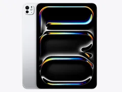 新品未使用品 APPLE iPad Pro 2024 256GB M4 11インチ Wi-Fi+Cellular MVW23J/A シルバー
