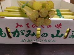 もがみの山菜『ふき』