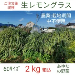 ご注文後収穫 選べる収穫梱包方法 生レモングラス ２kg箱込 農薬不使用 あゆたの野菜