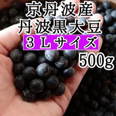 丹波黒大豆　3L 500g 新豆　京丹波町産　令和6年産