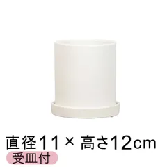 【新品】直径11cm 陶器鉢 寸胴 丸型 白 つや無 0.8リットル 受皿付 植木鉢 おしゃれ かわいい 室内 インテリア