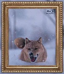 2025年最新】電気グルーヴ ブルーレイの人気アイテム - メルカリ