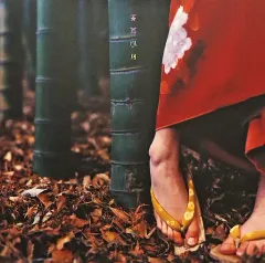 2025年最新】花鳥風月 スピッツ lpの人気アイテム - メルカリ