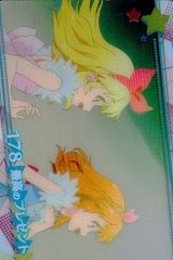 mtg ptk ポータル三国志　基本土地　英語版　沼　島 　森　山　平地　63枚 mtg ptk ポータル三国志 基本土地 英語版 沼 島 森 山 平地 63枚