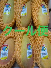 マンゴー（ハマチャノ）6個 箱込2.5キロ程度 タイ産