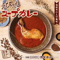 奥芝商店 元祖えびだし スープカレー 規格外の海老風味 2個セット 送料無料 えびスープ チキンカリー 北海道 札幌 スパイス 本場 お土産 カレー レトルト 手土産 贈り物 プレゼント お取り寄せ 人気店 バレンタイン