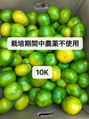 栽培期間中農薬不使用みかん10K濃厚で美味しい北海道東北各県沖縄発送不可