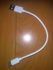 白 USB TypeC 充電ケーブル 全長22cm