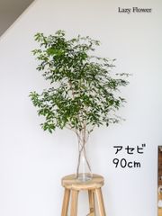 アセビ30cm 馬酔木 枝物 インテリア 装飾 生花 枝 観葉植物