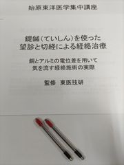 古代式てい鍼 始原経絡治療講座付き - メルカリ