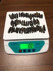 工場直売関西産A級品 乾燥なまこSSS 100g50匹 (計量時100g53本)