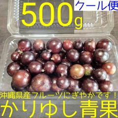 〈直売所コスパ最強〉沖縄県産 KKさんのミニマンゴー 約４kg【常温便】① 宮古島産 ミニマンゴー秀品 約1.5kg 発送時期6月下旬〜7月中旬