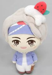 [중고] 봉제인형 부이(BTS/방탄소년단) 봉제인형 PUNYBEANS [이치반 복권 TinyTAN Sweet Time Theme] V상