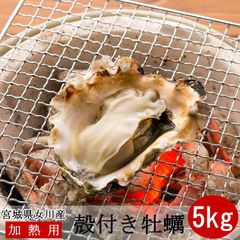 規格外【加熱用】三陸宮城県 女川産 殻付き生牡蠣5ｋｇ
