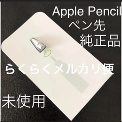 【未使用・純正品】アップルペンシル ペン先 1個 第1世代&第2世代対応 Apple Pencil Tips