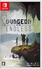 ダンジョン オブ ジ エンドレス(Dungeon of the ENDLESS?) - Switch(中古品)