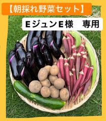 EジュンE様　専用ページ