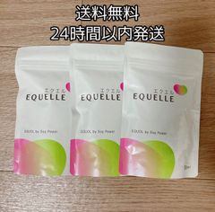 エクエル パウチ 大塚製薬　30日分×3袋