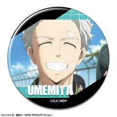 【新品・公式】WIND BREAKER 缶バッジ デザイン23(梅宮一/G) 公式グッズ colleize