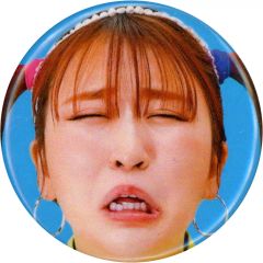 おまけ付き】平成フラミンゴ NICO 助け展 ランダム缶バッジ - メルカリ