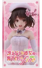 2026年最新】冴えない彼女の育てかた Fine Coreful フィギュア 加藤恵