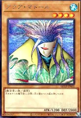 ぺ*む様 アクア・マドール 初期 アクア・マドール 初期」の激安通販 | magi