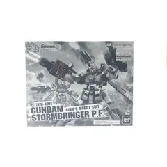 MGガンプラまとめ売り5点セット プレバン ストームブリンガーP.F.他 1469952.jpg