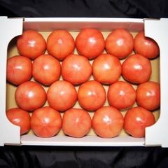 無肥料　トマト　フルーツトマト　自然栽培　4kg