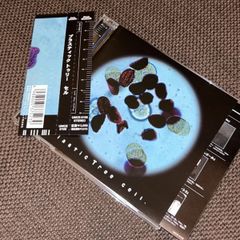 (S5622) plastic tree cell. プラスティックトゥリー セル CD Plastic Tree