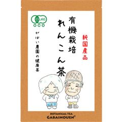 有機栽培 れんこん茶 2g×40包【がばい農園公式】