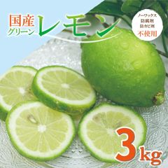 グリーンレモン　３ｋｇ 国産レモン　防腐剤防カビ剤不使用　安心安全