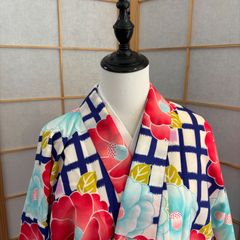 羅紗MSD.SDM.MDD着物袴セット ハイカラ矢絣 - メルカリ
