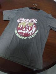 AEROSMITH / エアロスミス 『"GET YOUR WINGS" U.S. TOUR '74』 正規品ロックTシャツ（新品） Lサイズ