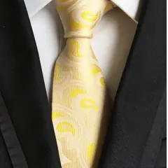 メンズネクタイ　結婚式　発表会　七五三祝い　パーティー　イベント　ペイズリー柄　ゴールド色　イエロー色　シルバー色　スーツ　ワイシャツ　小物　格安　卒園式　卒業式　入学式　入社式