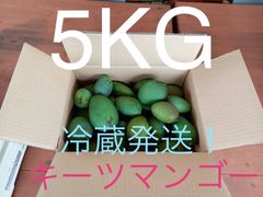 沖縄県産】【クール便】摘果マンゴー キーツマンゴー 青マンゴー 箱  
