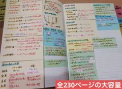 歯科衛生士 DH 国家試験 国試まとめノート 付箋や写真付き 語呂合わせ