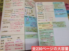 2024年最新】手書き暗記メモの人気アイテム - メルカリ