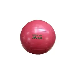 【新品・14営業日以内発送】MN119 Litec ストレッチボール45cm ピンク【沖縄離島販売不可】のサムネイル